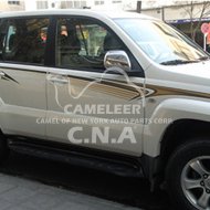 Body Sticker for Prado 2008