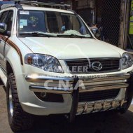 Excellent Stainless Steel Grille Guard A6066 Model