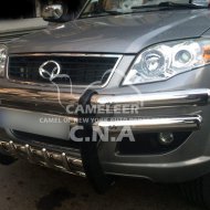 Excellent Stainless Steel Grille Guard A6066 Model