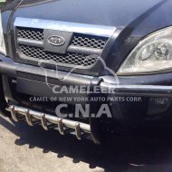 Stainless Steel Front Guard with Skid Pipes