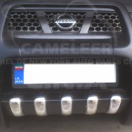 Front Fiber Glass Grille Guard