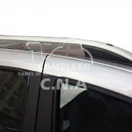 Sandro Roof Rack