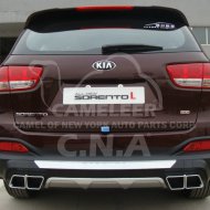 ABS Rear Guard